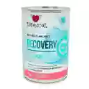 Disugual Dog Recovery Diet - Salmon Lata Por 400 Gr