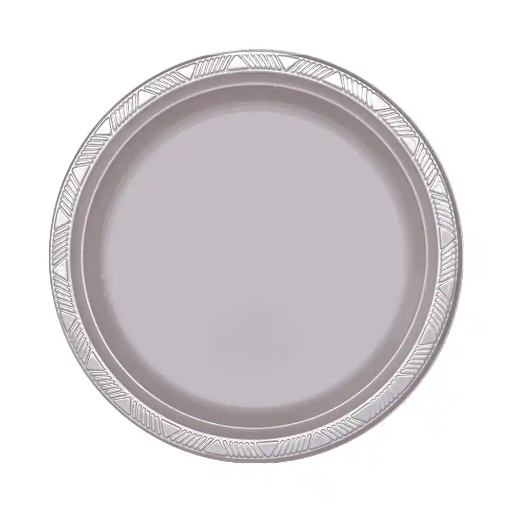 Plato Deluxe Grande Plata 22 Cm X 10 Unidades Sempertex