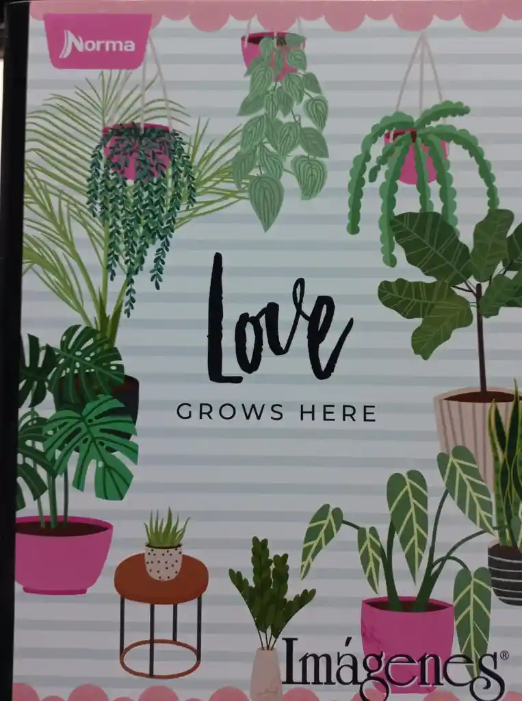 Cuaderno Cosido Grande Femenino, 100h Doble Linea - Norma