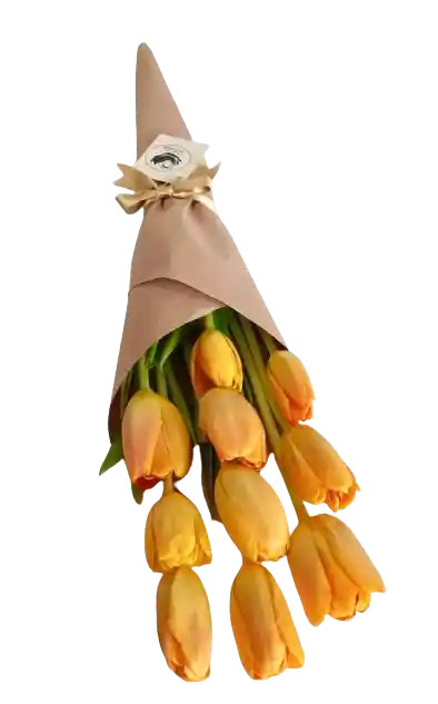 Cono De Tulipanes Naranja