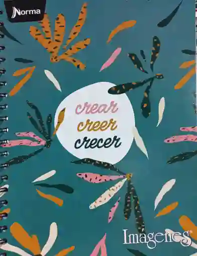 Cuaderno Argollado Grande Femenino, 80h Cuadriculado - Norma