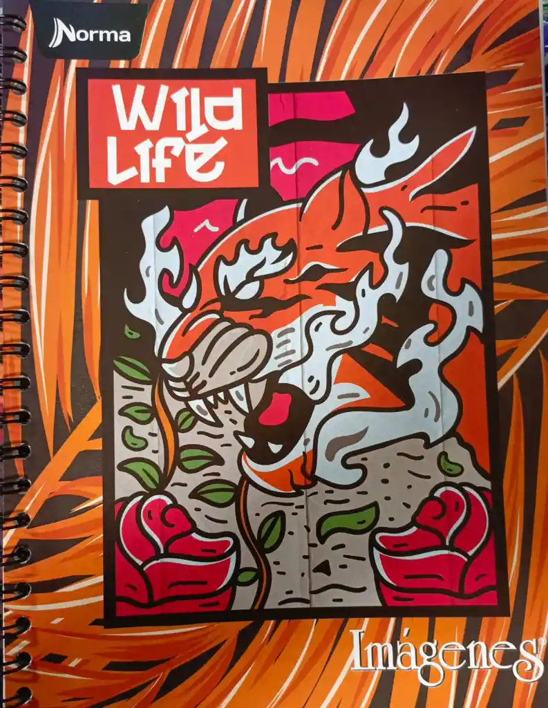 Cuaderno Argollado Grande Masculino, 80h Linea Corriente - Norma