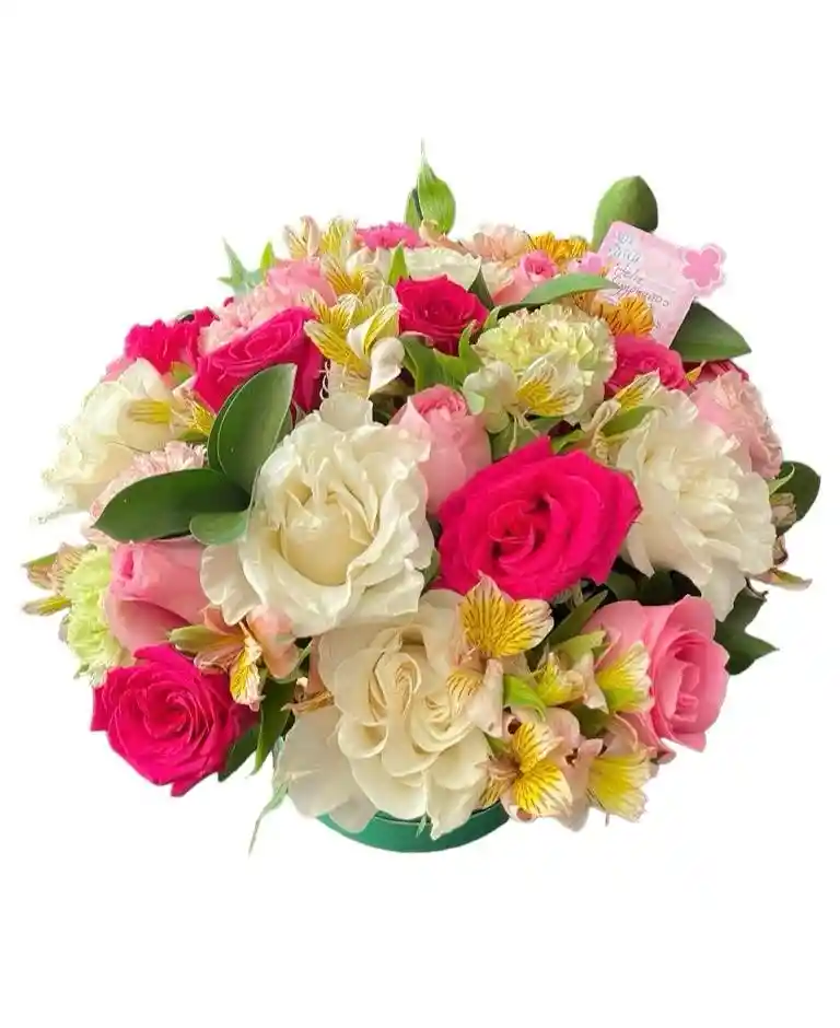 Flores De Rosas Rosadas Y Blancas En Caja