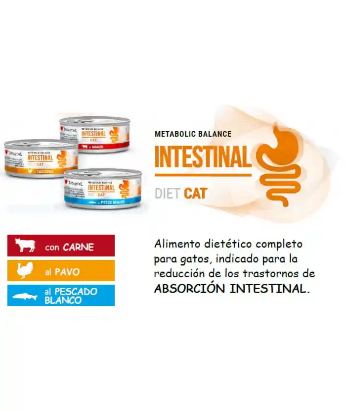 Alimento Humedo Gastrointestinal Para Gatos 85g Lata Gastrointestinal Gatos Disugual Pescado Blanco