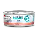 Alimento Humedo Para Gato Recovery 85g Gatos Humedo Recovery 85g