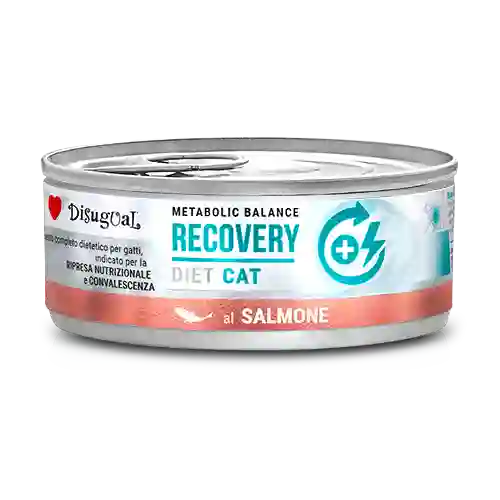 Alimento Humedo Para Gato Recovery 85g Gatos Humedo Recovery 85g