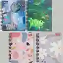 Cuaderno Pequeño Ref85. Argollado 80 H Cuadros Economico Dama O Caballero