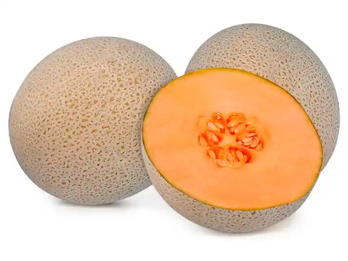 Melon