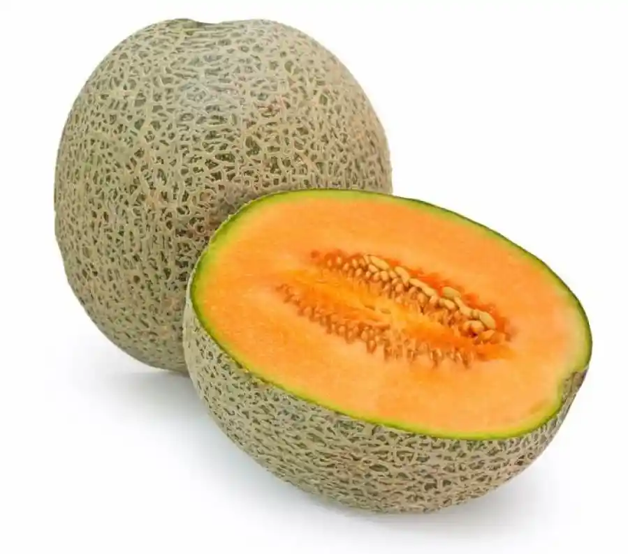 Melon