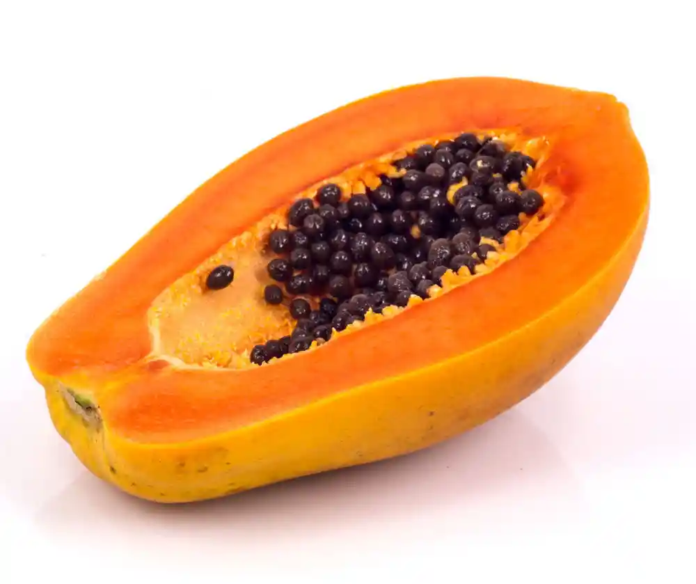 Papaya Brillante