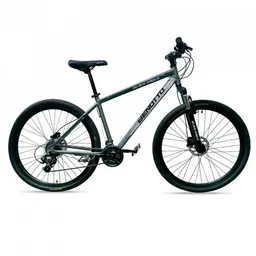 Bicicleta Benotto R19 Mshbgl2916ungr Montana