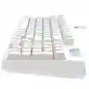 Teclado Mecánico Gamer Al 75% Gamenote Kb885l Retroiluminado Rgb