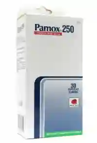 Pamox 250 (pirantel Base 250mg) Capsulas Blandas X Blister