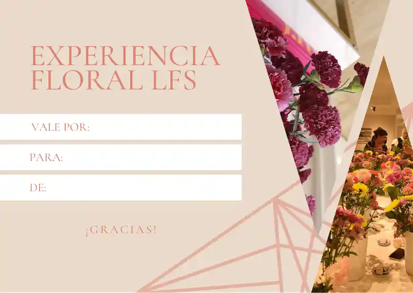 Experiencia Personalizada