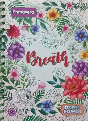 Cuaderno Argollado Pequeño Femnino, 5 Materias 150h Cuadriculado - Primavera