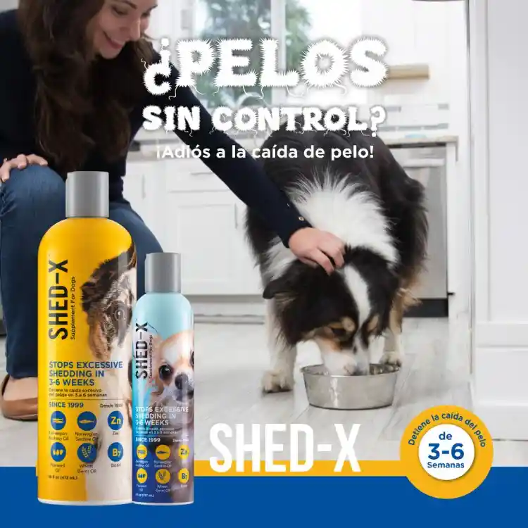 Shed-x Dog Dermaplex 8 Oz Omega 3 Y 6 Para Perros Vitamina Para La Caida De Pelaje Perro Omega