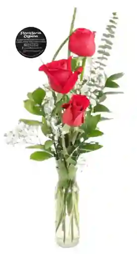 Solitaria Dulces Sueños