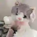 Gata Gris Con Blanco Peluche