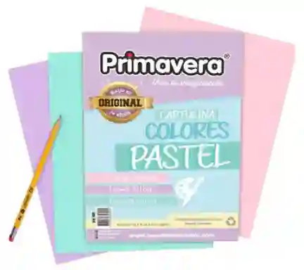 Cartulina Bristol Pastel 1/8 X 10 Unds Primavera