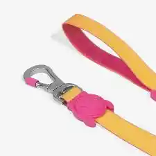 Lyra Neopro Leash Small