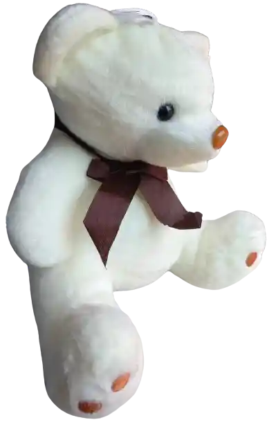 Oso De Peluche Blanco - 22cm