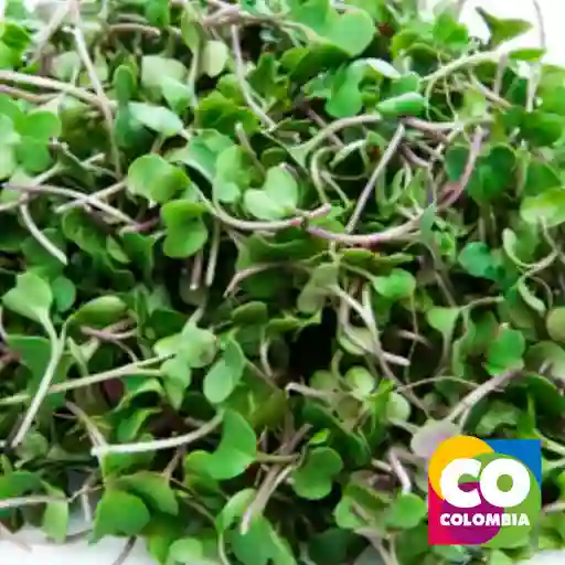 Brotes De Arugula Por 25 Gramos