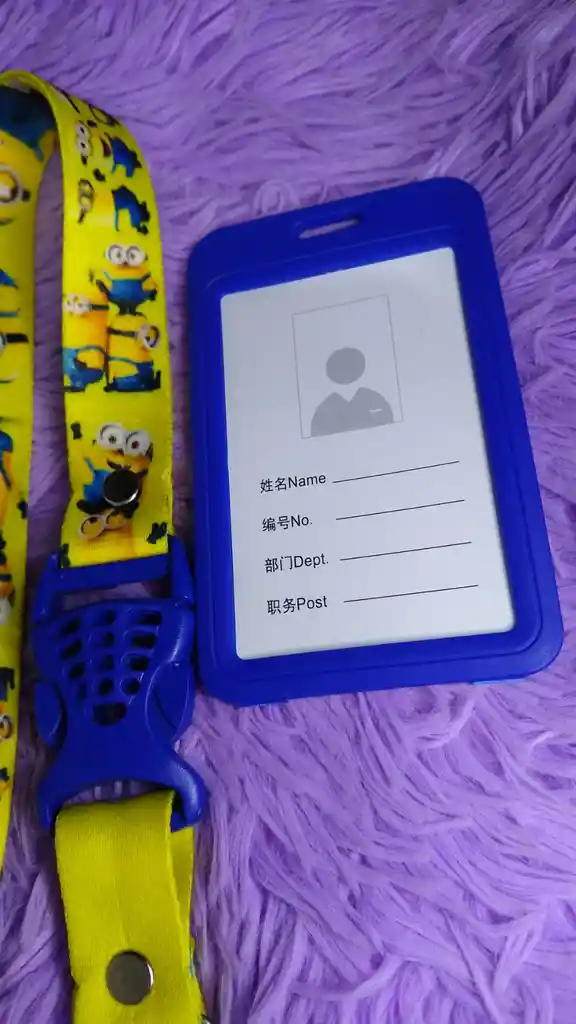 Porta Carnet De Minions