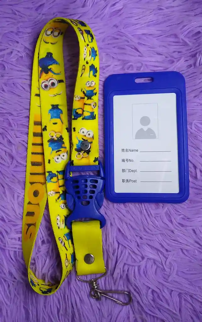 Porta Carnet De Minions