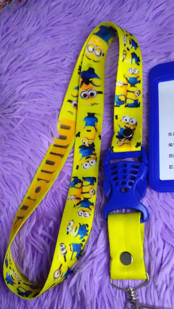 Porta Carnet De Minions