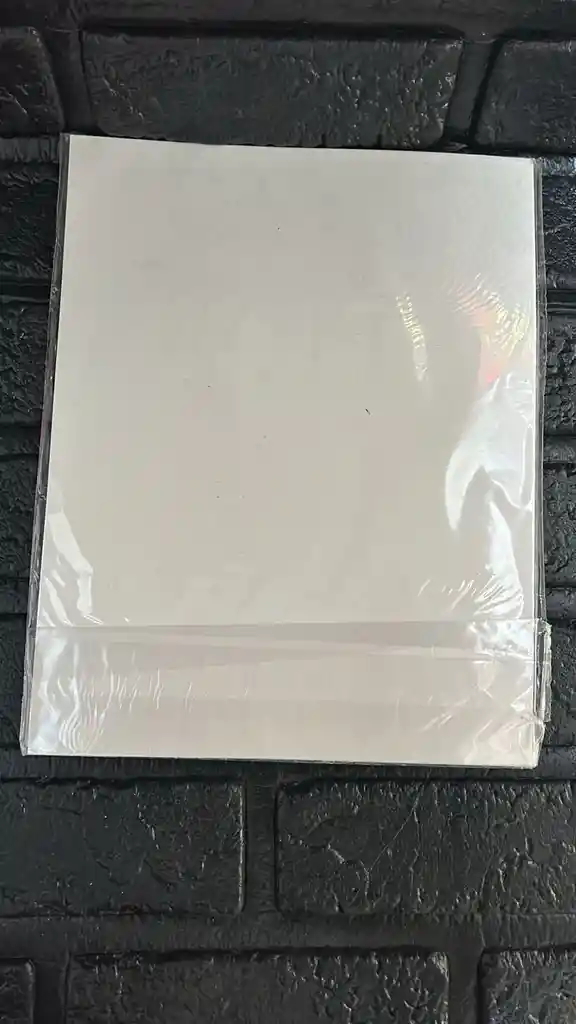 Papel Adhesivo Carta X10 Unidades