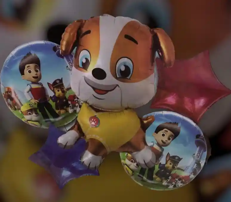 Bouquet Globo Bomba Personaje Infantil Rubble Perros Pow Patrol X5