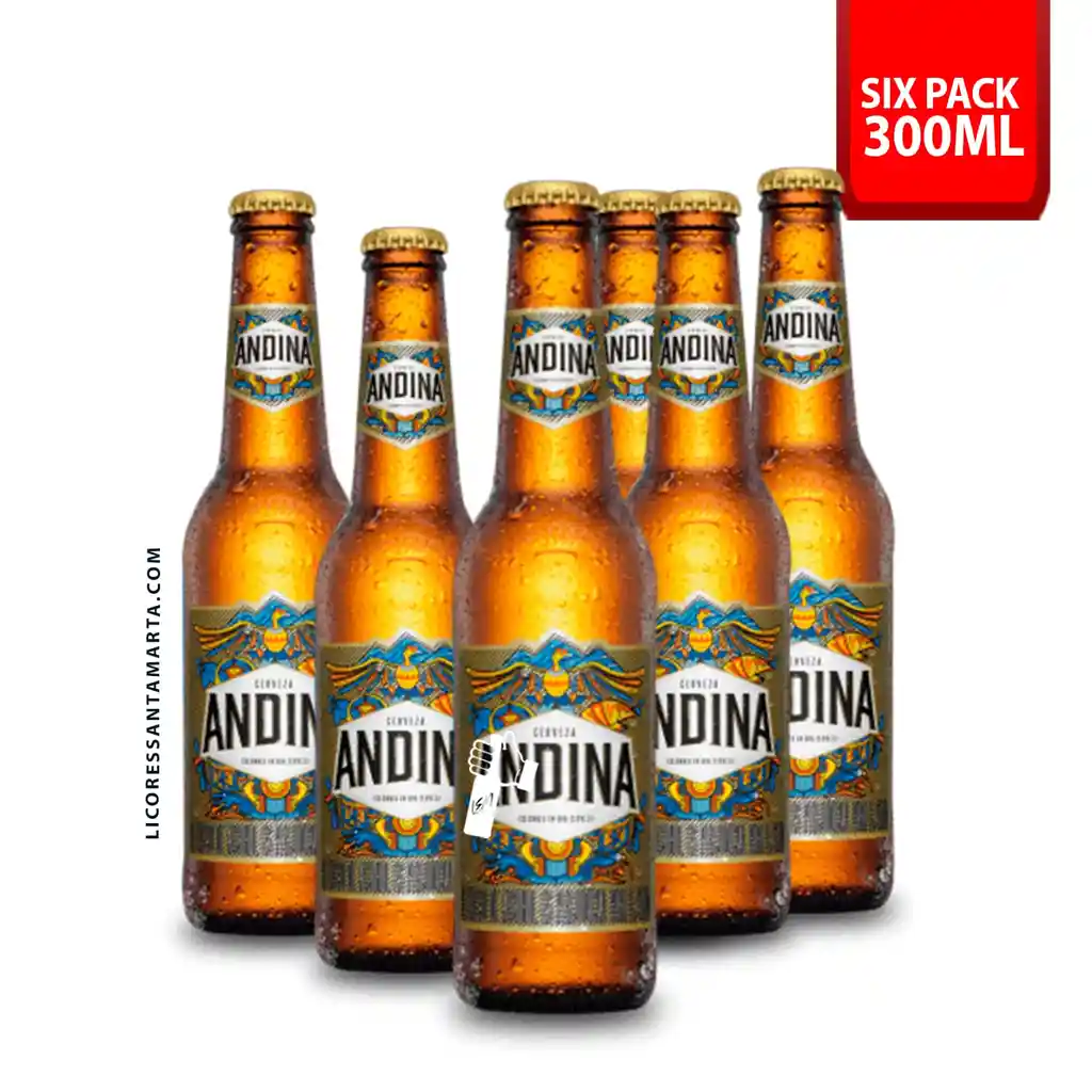Andina 300ml Six Pack