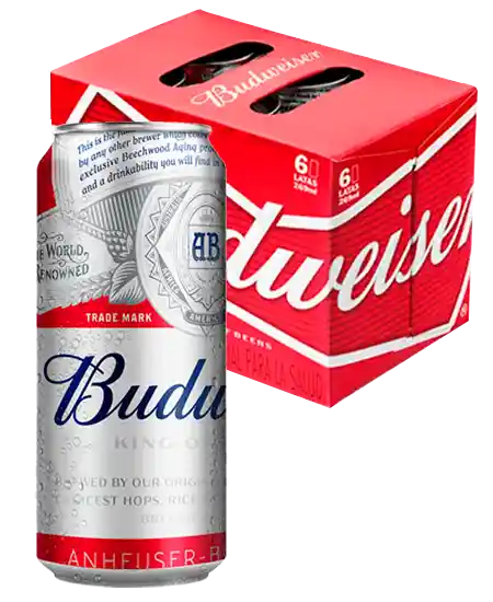 Six Pack Cerveza Budweiser