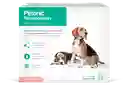 Petonic Recuperacion - Perros Medianos Frasco X 110 Ml