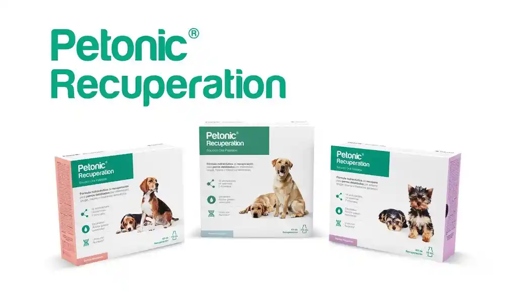 Petonic Recuperacion - Perros Pequeños Frasco X 55 Ml