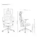 Silla Oficina Presidencial Malla Ergonómica Techgo Sofg-05