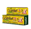 Cicatrifort