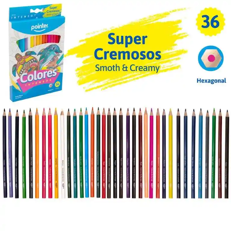 Caja De Colores Hexagonal Para Niños 36 Un Colegio