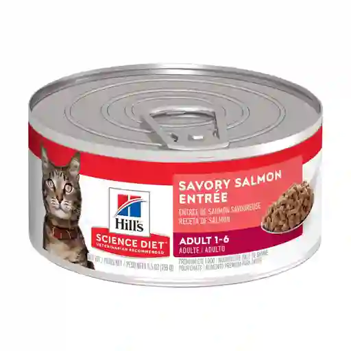 Alimento Humedo Para Gato Hills Salmon 156g Lata Hills Gatos Salmon