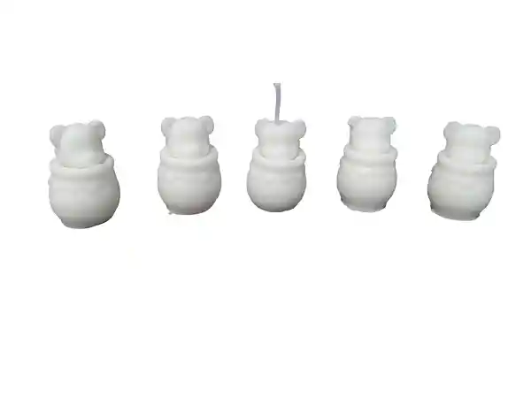 Vela Oso-barril Pequeño