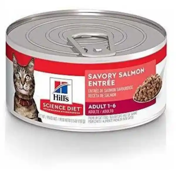 Hills Lata Para Gato Adulto De 1 A 6 Años Sabor Salmon 5.5oz