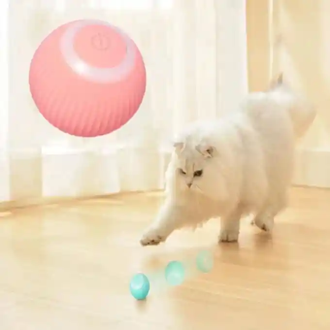 Juguete Inteligente Interactivo Para Gatos