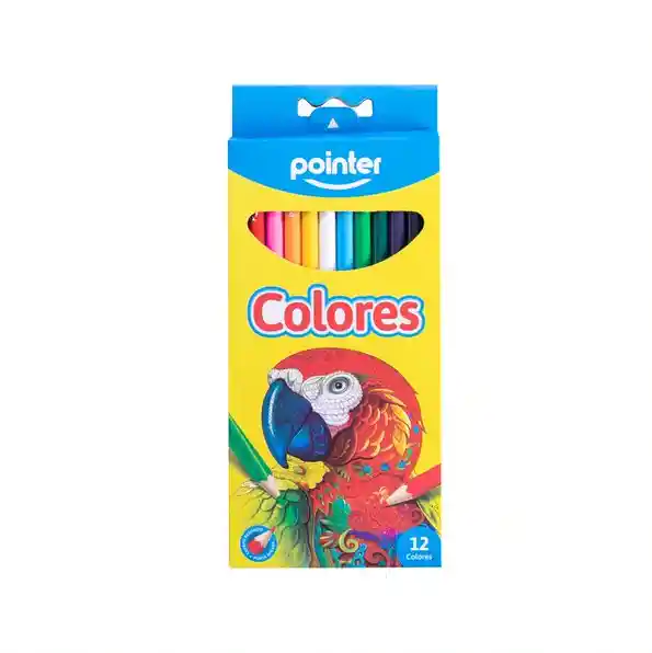 Caja De Colores Redondos Largos Para Niños 12 Und Colegio