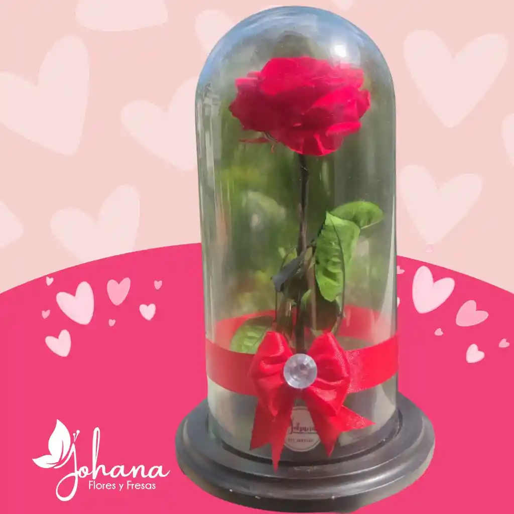 Rosa Preservada En Urna De Vidrio
