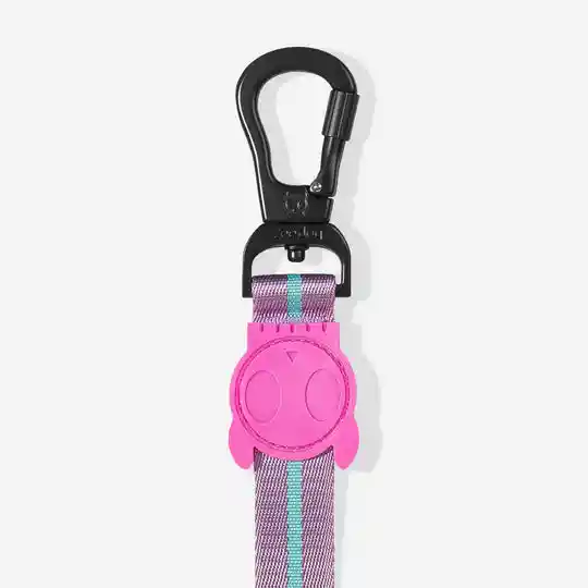 Zee.dog Regular Leash Ref Aura Talla L