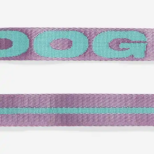 Zee.dog Regular Leash Ref Aura Talla L