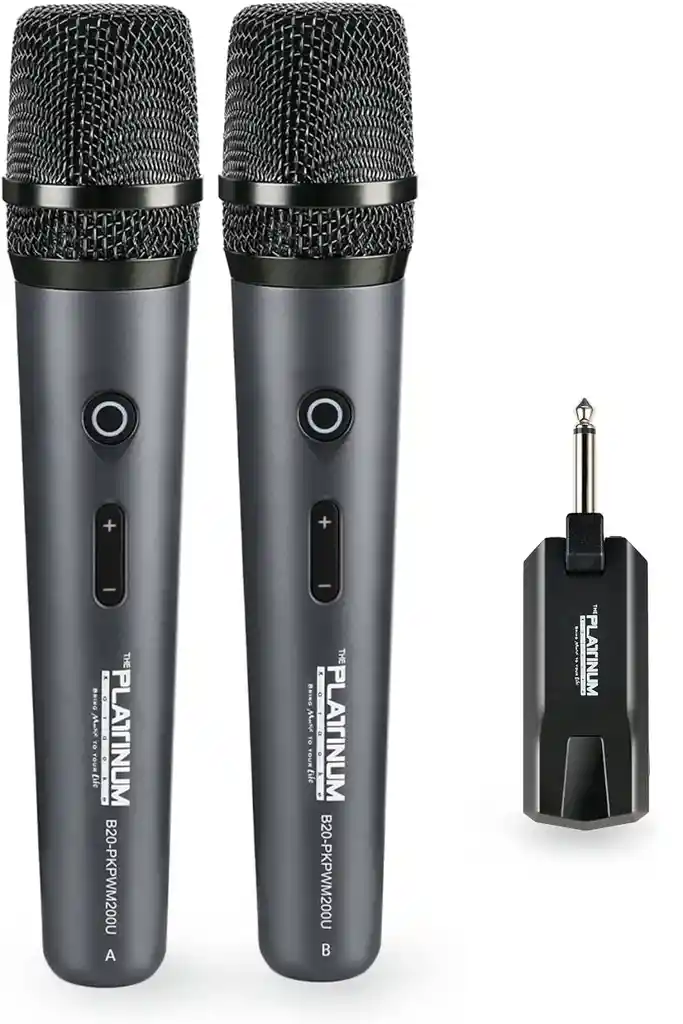 Microfono De Mano Doble Inalambrico Recargable Karaoke