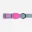 Zee.dog Collar Perro Ref Aura Talla S