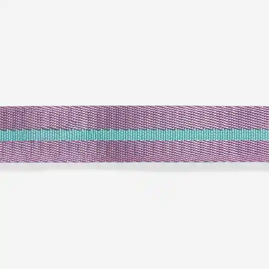 Zee.dog Collar Perro Ref Aura Talla S