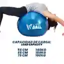 Balón Pilates Fitball Yoga Pelota 55cm - Sportfitness